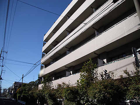 その他共用部　外観2