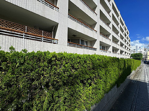 現地外観写真 IMG_1586