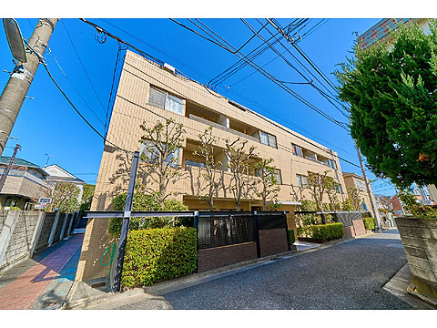 現地外観写真　コスモ世田谷下馬外観３