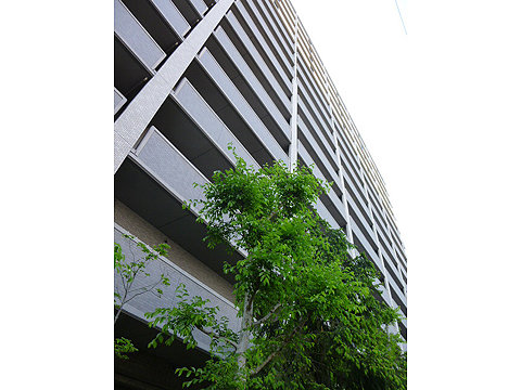 現地外観写真　マンション外観