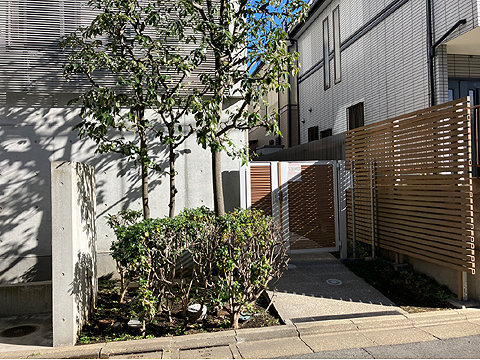 エントランス エントランス