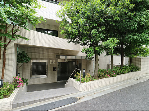 エントランス　シンボルツリーの在るエントランス