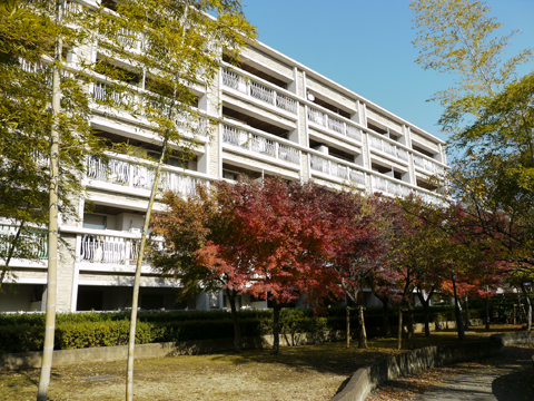 その他共用部 外観5