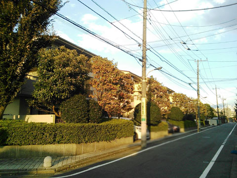 現地外観写真 外観写真