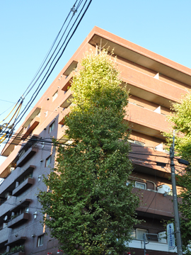 その他共用部　外観3