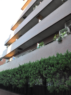 その他共用部　外観4