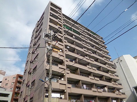 現地外観写真 外観