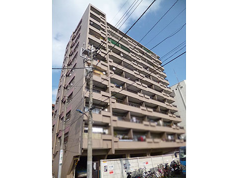 現地外観写真 外観