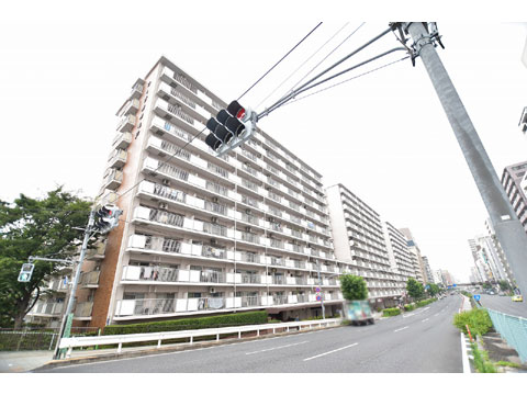 現地外観写真 外観フォルム