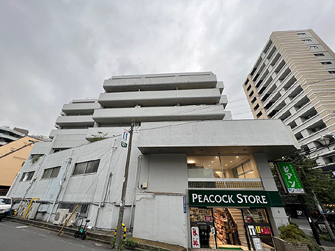 現地外観写真 マンション外観写真