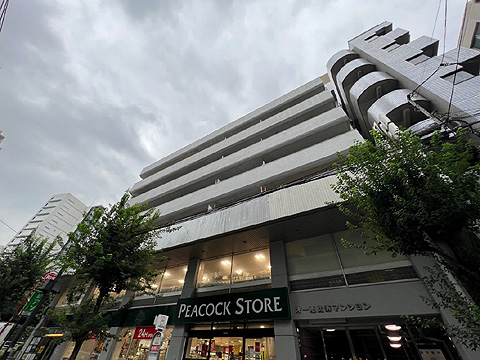 現地外観写真 マンション外観写真