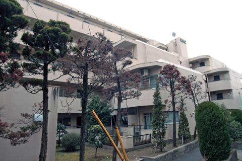 その他共用部　外観6