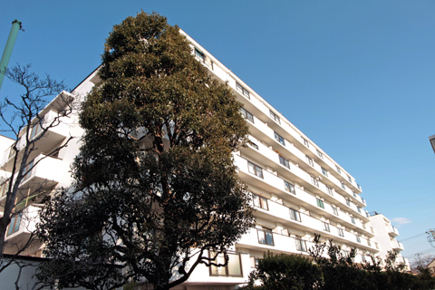 その他共用部　外観4