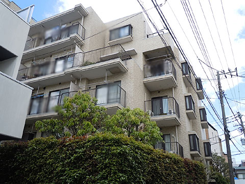 現地外観写真 外観