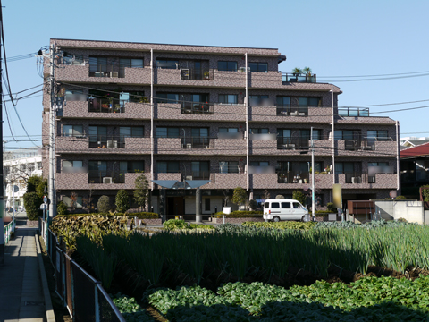 その他共用部 外観5