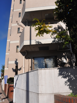 その他共用部　外観5