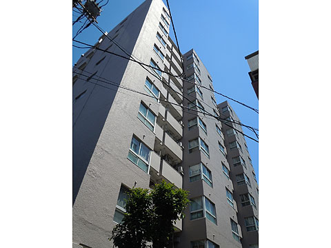 現地外観写真 外観