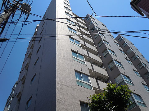 現地外観写真 外観