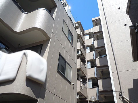 現地外観写真 外観