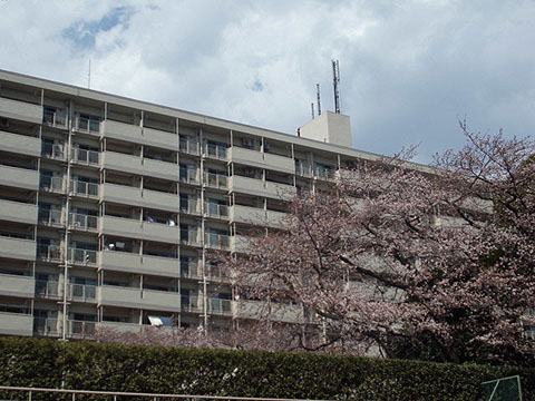 その他共用部　外観3