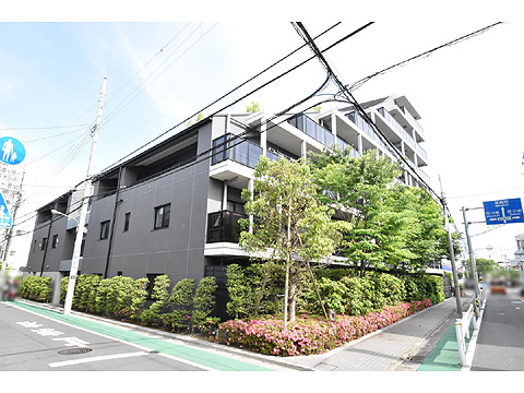 現地外観写真 外観2