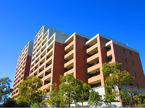 現地外観写真 C棟D棟建物外観(東側)