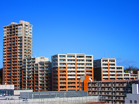 現地外観写真 全体建物外観(南側)