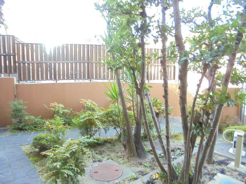 その他共用部　中庭植栽