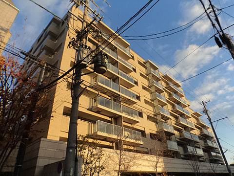 現地外観写真　南西側から見たマンションの外観です。