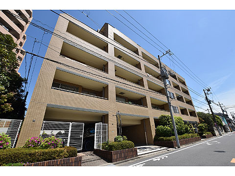 現地外観写真 外観