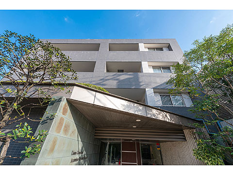 エントランス 見上げ