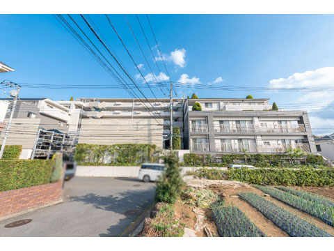 現地外観写真 外観