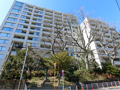 現地外観写真　CIMG2648