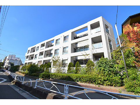 現地外観写真 外観