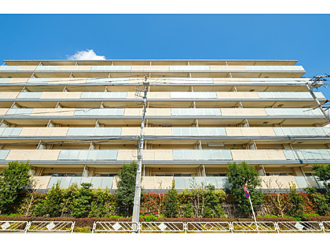 現地外観写真　サンクタス調布ヶ丘-3