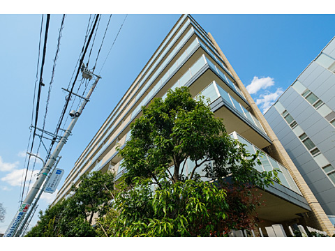 現地外観写真　サンクタス調布ヶ丘-9