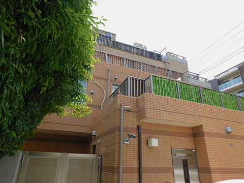 現地外観写真　建物外観