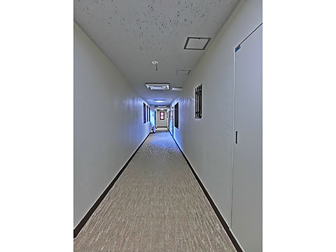 その他共用部 内廊下