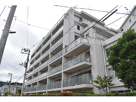 現地外観写真 外観写真