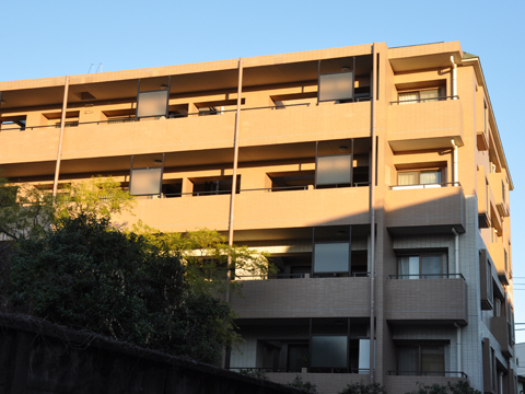 その他共用部　外観6