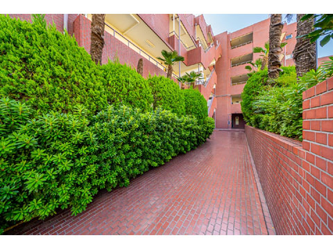 その他共用部 緑が出迎えてくれるマンション入口