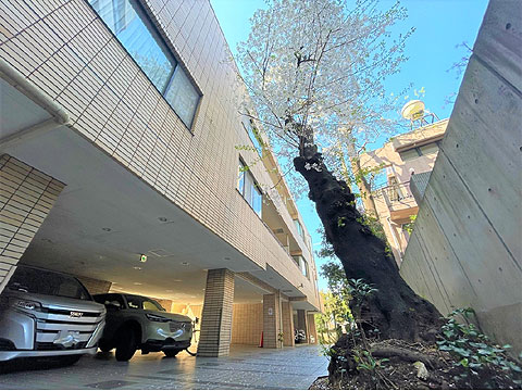 その他共用部　ピロティ