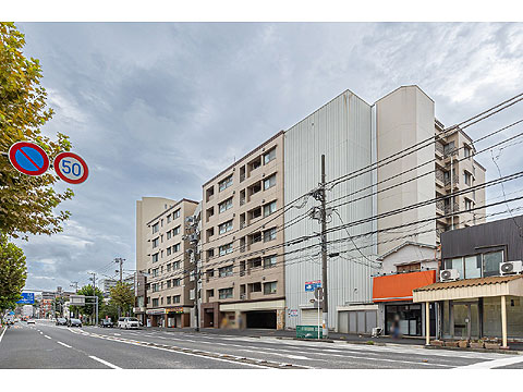 現地外観写真 外観