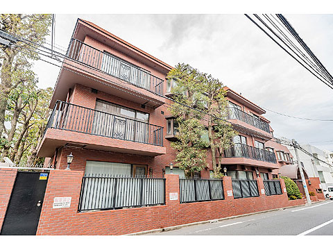 現地外観写真 外観