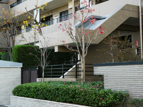 その他共用部 写真2