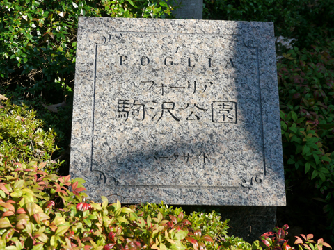 その他共用部 写真1