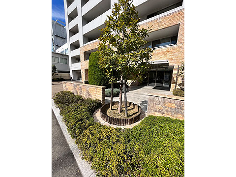 エントランス IMG_2869