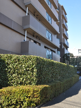 その他共用部　外観4