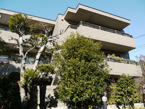 その他共用部 外観5