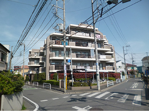 現地外観写真 外観